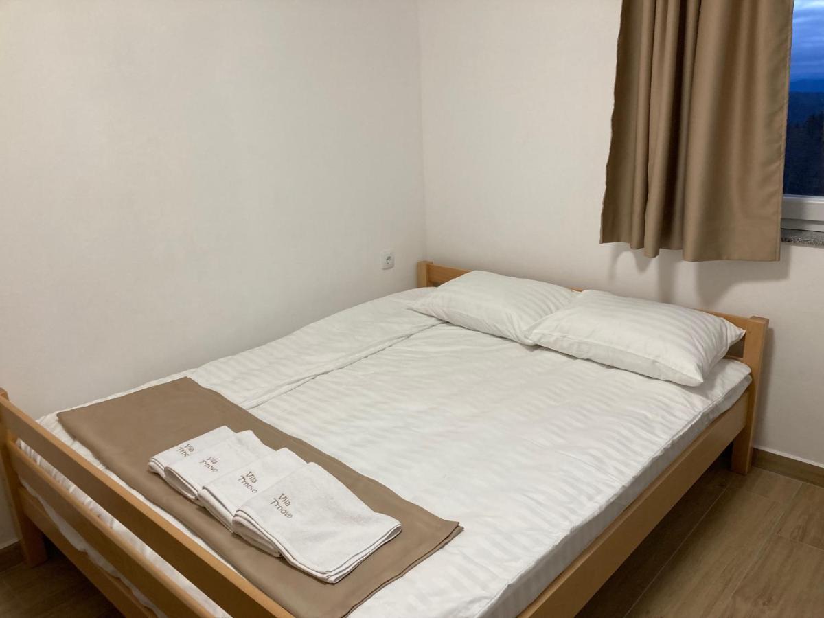 Vila Trnovo Διαμέρισμα Τζαχορίνα Εξωτερικό φωτογραφία